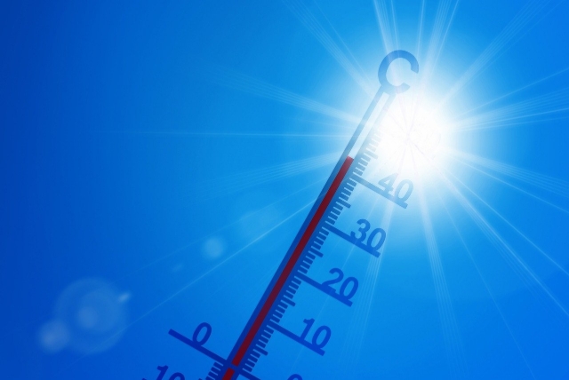 Temperaturmätare